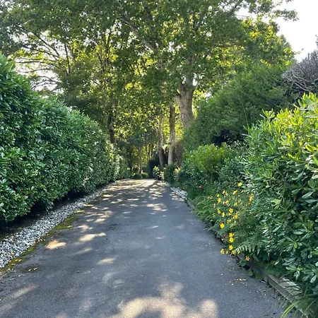 Haritzaga D'hôte Terrasse&jardin Privé 4*