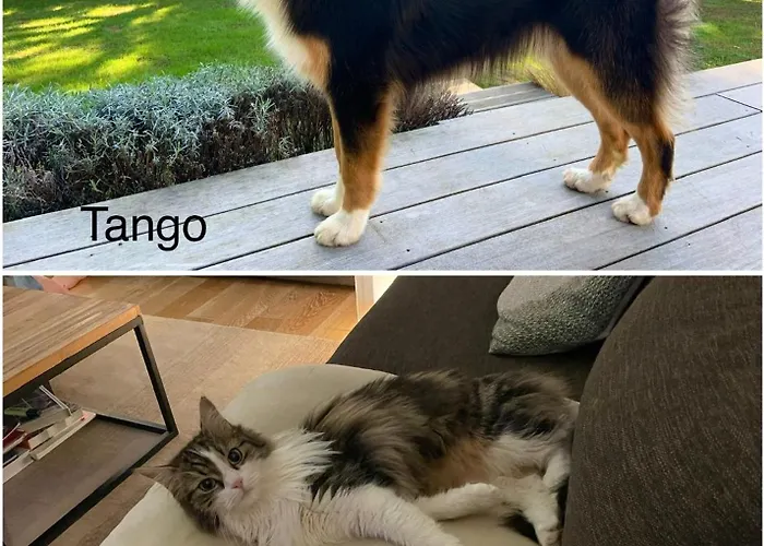 Haritzaga D'hote Terrasse & Jardin Prive Биарриц