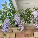 Bed & Breakfast Haritzaga D'hôte Terrasse&jardin Privé Biarritz