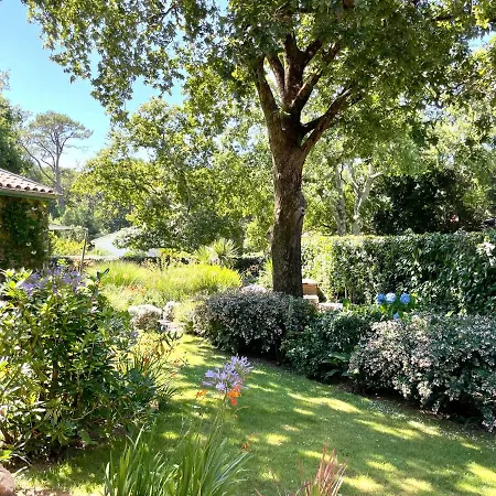 Couette-café Haritzaga D'hote Terrasse & Jardin Prive *