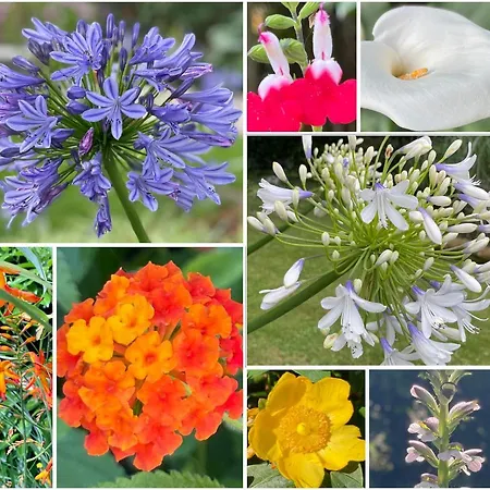 Haritzaga D'hote Terrasse & Jardin Prive Oda ve Kahvaltı 4*