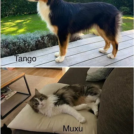 Haritzaga D'hote Terrasse & Jardin Prive Biarritz