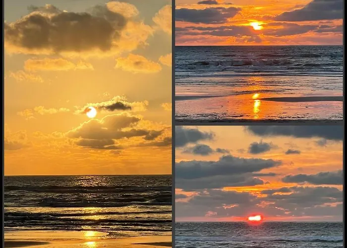 Haritzaga D'hote Terrasse & Jardin Prive