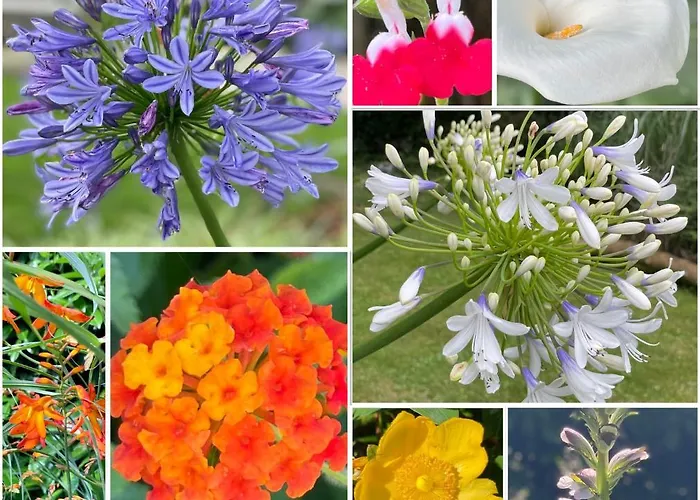 Haritzaga D'hote Terrasse & Jardin Prive 住宿加早餐酒店 4*