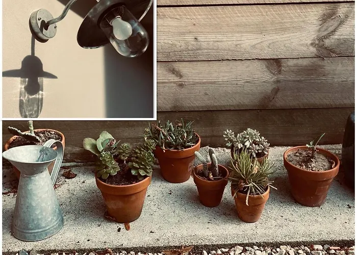 Haritzaga D'hote Terrasse & Jardin Prive 4* 比亚里茨