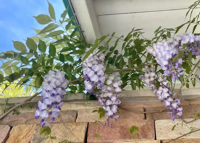 Frühstückspension Haritzaga D'hote Terrasse & Jardin Prive Biarritz